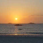 SONY DSC